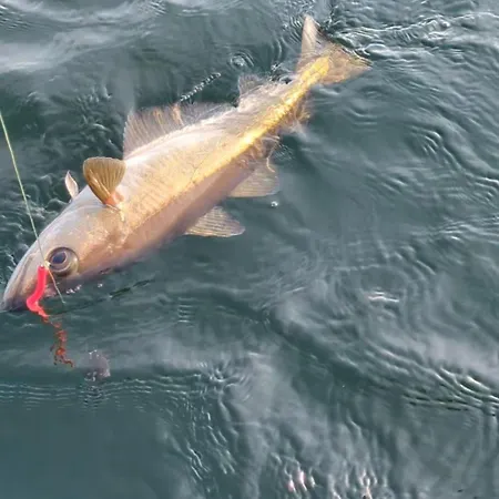 Nyaraló Svaert Nydelig Fritidshytte *