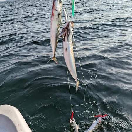 Svaert Nydelig Fritidshytte *