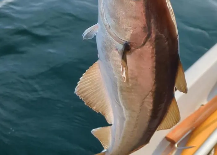 Svaert Nydelig Fritidshytte * Forland