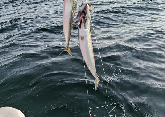 Svaert Nydelig Fritidshytte *