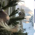 Svaert Nydelig Fritidshytte Forland